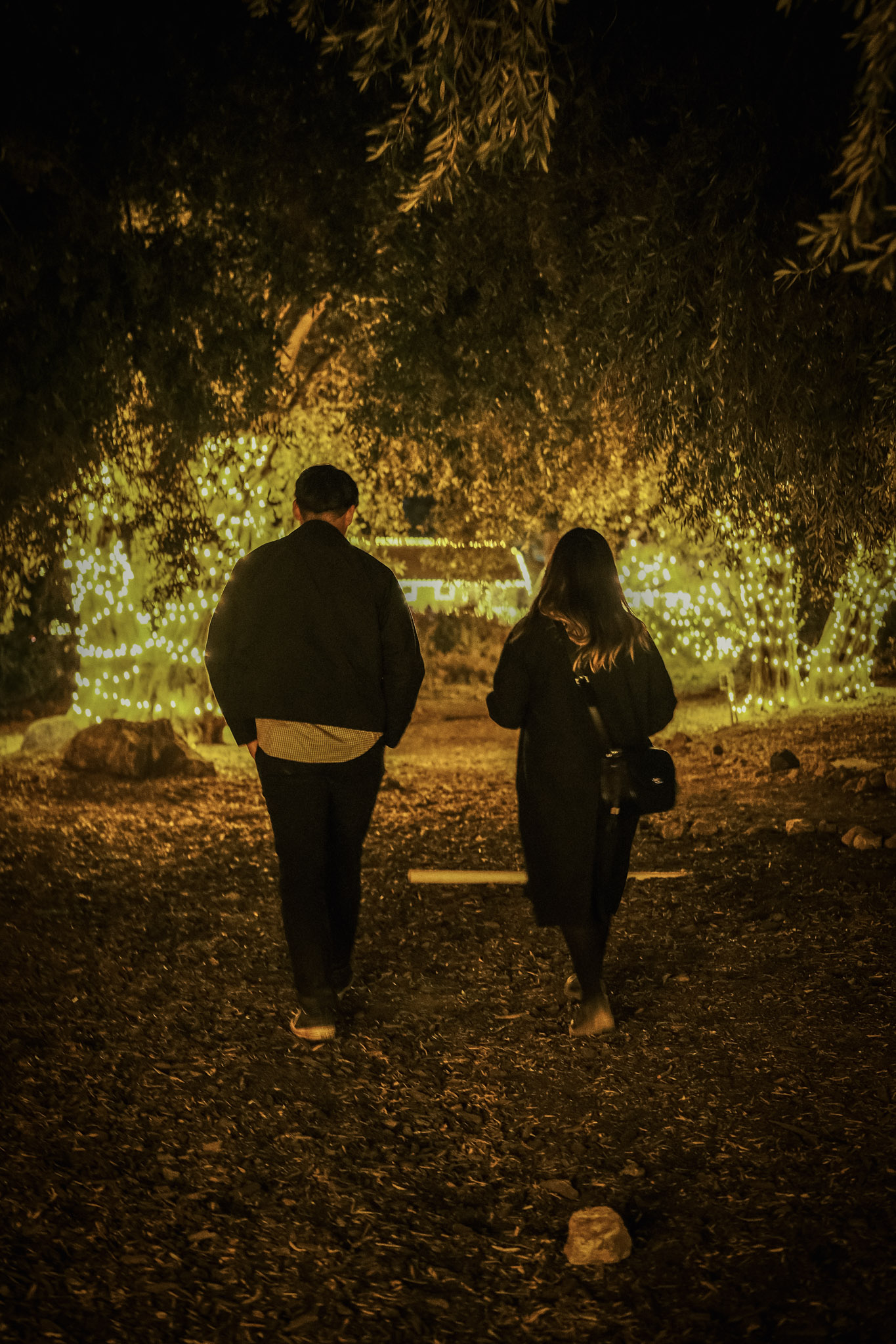 DSCF4901.jpg