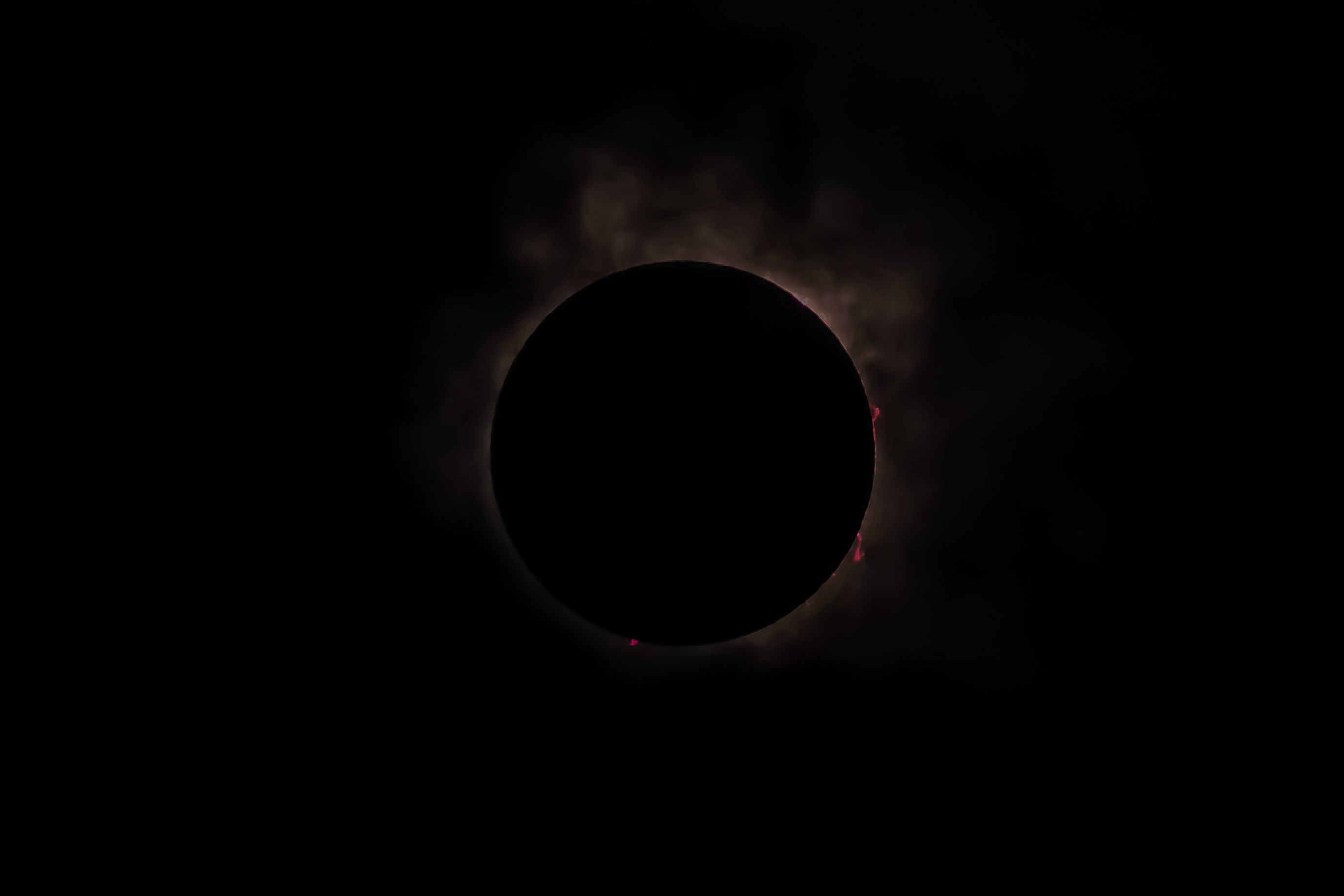 DSCF2505.jpg