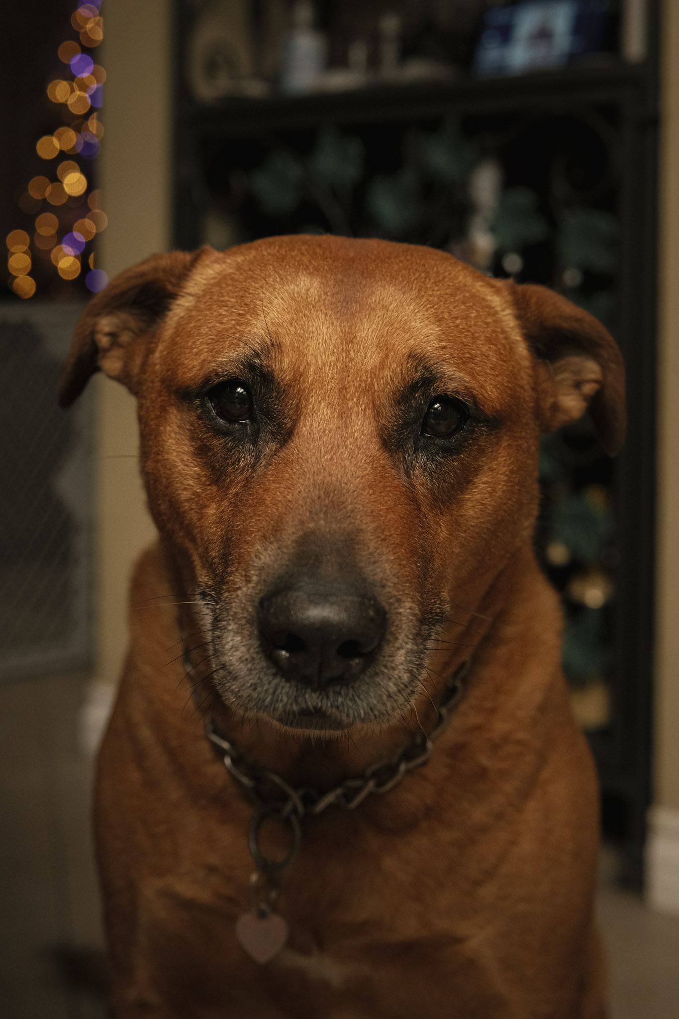 DSCF4488.jpg