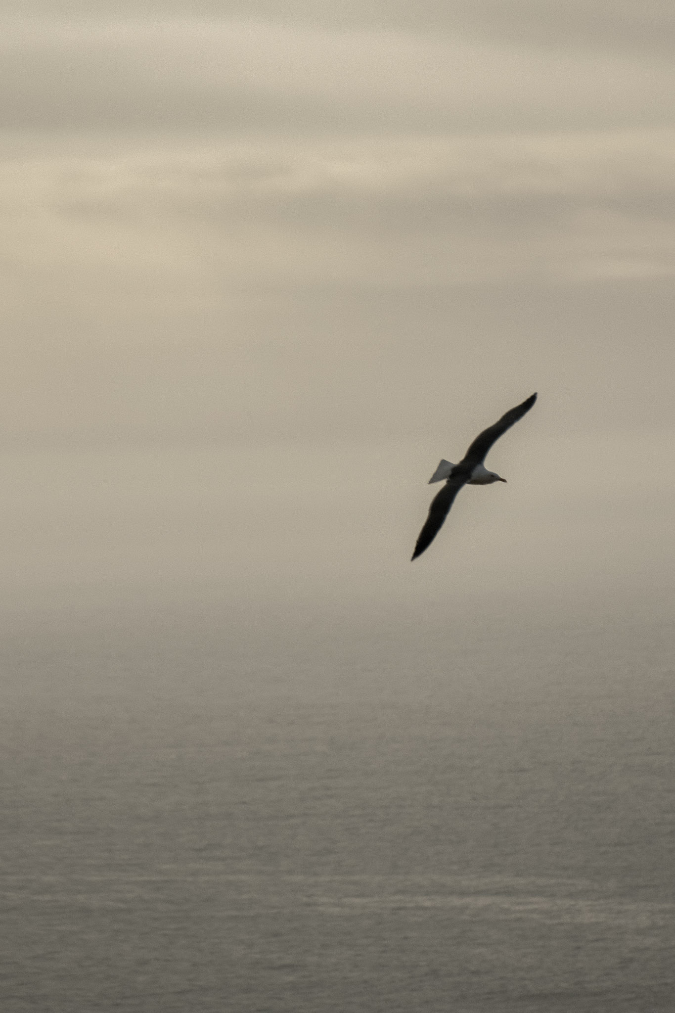 DSCF5552.jpg