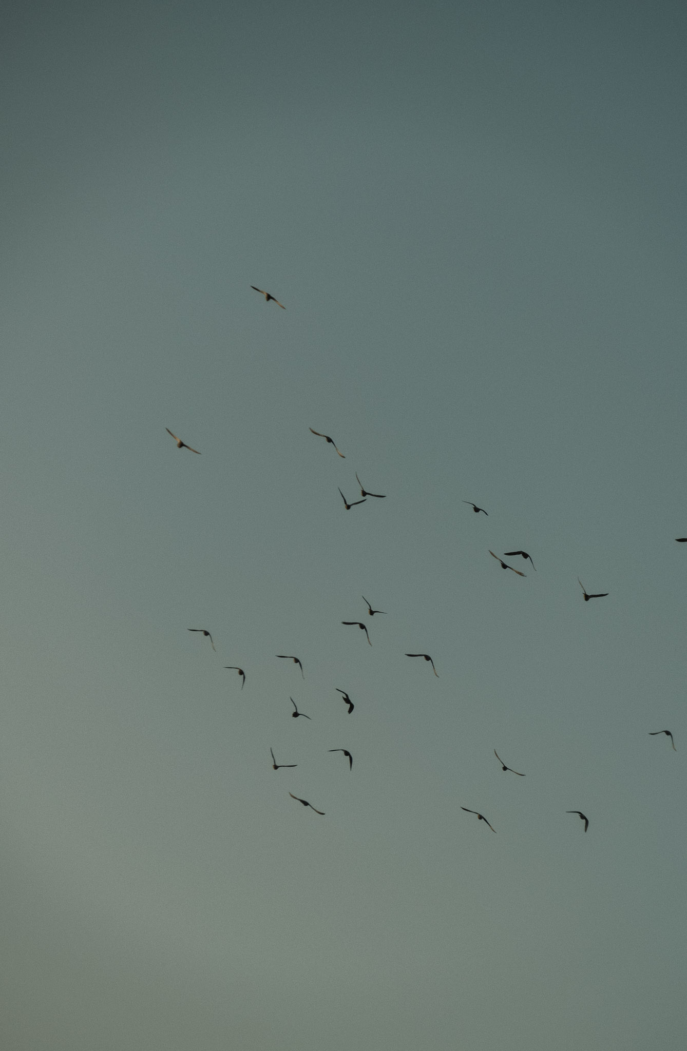 DSCF5740.jpg