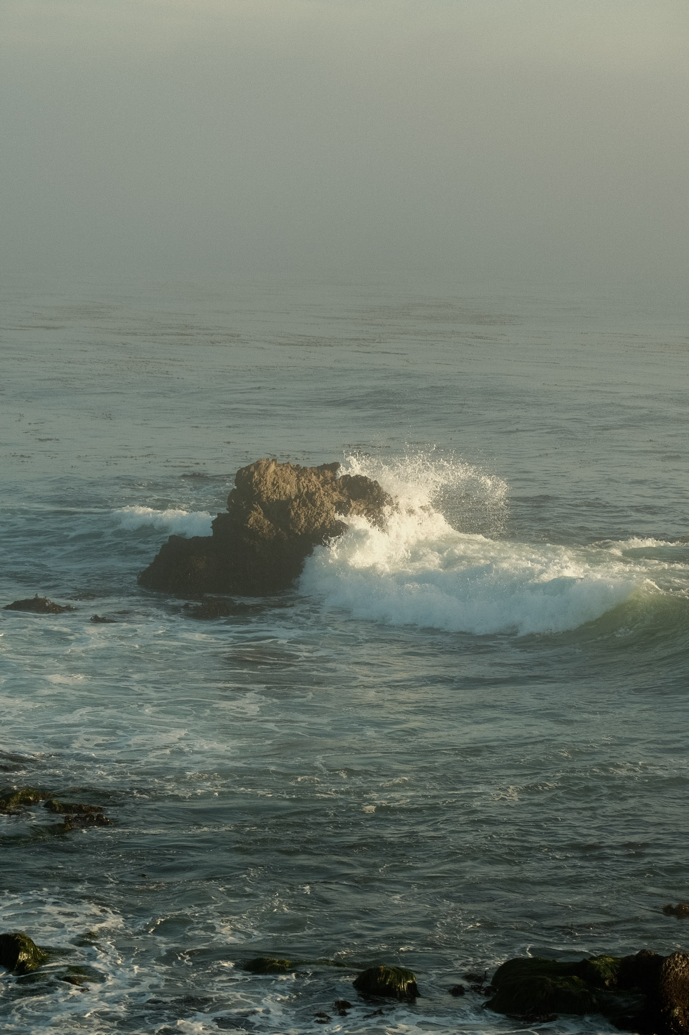 DSCF5823.jpg